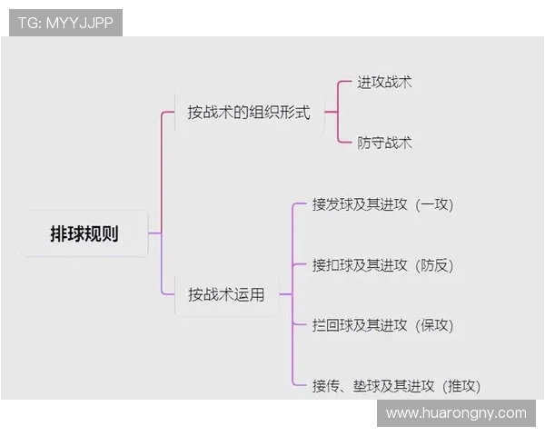 武汉排球队进攻体系解析:排球战术的创新与实践探讨 武汉排球队进攻体系解析:排球战术的创新与实践探讨