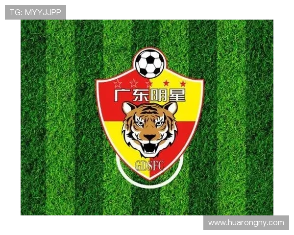 重庆足球队战术解析与对比分析全面剖析球队表现与未来发展方向